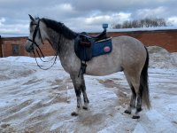 WhatsApp Image 2022-02-21 at 08.54.56.jpeg