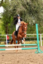 photo1641311674 (1).jpeg