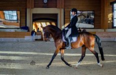 photo1641311814 (1).jpeg