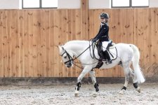 photo1641243918 (2).jpeg