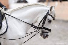 photo1641243918 (1).jpeg