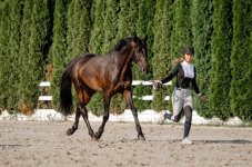 photo1641231050 (3).jpeg