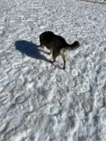 44E08A5B-4D1A-4064-840A-46C7CBC4EE30.jpeg