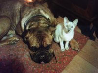 7E4AB1A3-3AEA-450E-B344-5215DCE576CF.jpeg 7E4AB1A3-3AEA-450E-B344-5215DCE576CF.jpeg