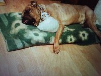 A888151F-F7AC-4A7A-A19D-81C8AB840AC1.jpeg A888151F-F7AC-4A7A-A19D-81C8AB840AC1.jpeg