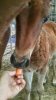 20140419_155515.jpg