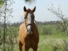 DSCN6113.jpg