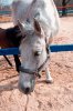 DSC_0011.JPG