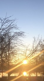 688178C9-469C-4D2C-BC17-94A7CFCF9DCD-1.jpeg 688178C9-469C-4D2C-BC17-94A7CFCF9DCD-1.jpeg