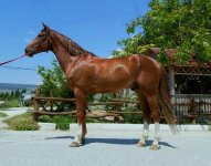 WhatsApp Image 2022-05-02 at 16.45.06.jpeg