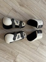 IMG_2164.jpg