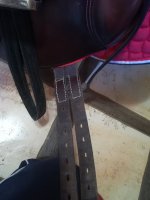 IMG_20220608_091553.jpg