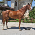 png_20220521_101832_0000.png png_20220521_101832_0000.png