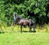 dsc_0467.jpg