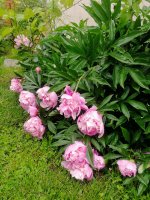 IMG_20220620_093842 (1).jpg