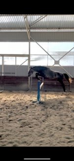 WhatsApp Image 2022-06-23 at 11.14.59.jpeg