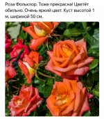 Screenshot_20220620-202542_Yandex.jpg