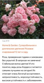 Screenshot_20220620-202516_Yandex.jpg