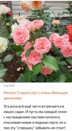 Screenshot_20220620-202457_Yandex.jpg
