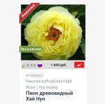 Screenshot_20220621-132425_Yandex.jpg