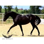 InShot_20220714_090255642.jpg InShot_20220714_090255642.jpg