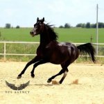 InShot_20220714_090304393.jpg InShot_20220714_090304393.jpg