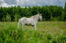 DSC_0146.jpg