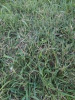 IMG_20220804_201947.jpg