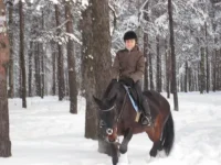 x_8da64109.webp