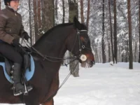 x_8fd70446.webp