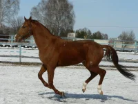 P1050220.webp
