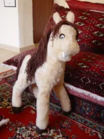 DSC00162.webp