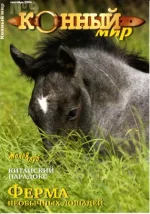 9-2006 км._0001.webp
