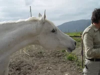 DSC00263.webp