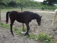 DSC00276.webp