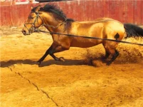 060fd39a2a9c[1].webp