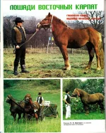 КК 2-1998._0010.webp