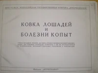 Ковка лошади и болезни копыт..webp