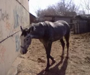 03042010039.webp