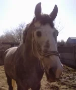 03042010040.webp