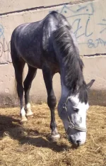 03042010049.webp