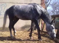 03042010050.webp