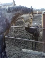 06042010157.webp