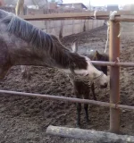 06042010161.webp