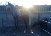 06042010168.webp
