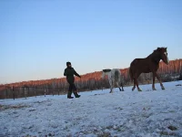 DSC03690.webp