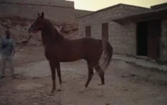 aawar-again-400x253.webp