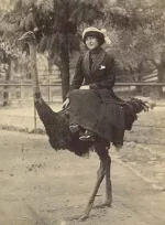 ostrich_riding.webp