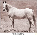 005942-vi.webp