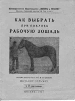 раб лошадь выбор.webp